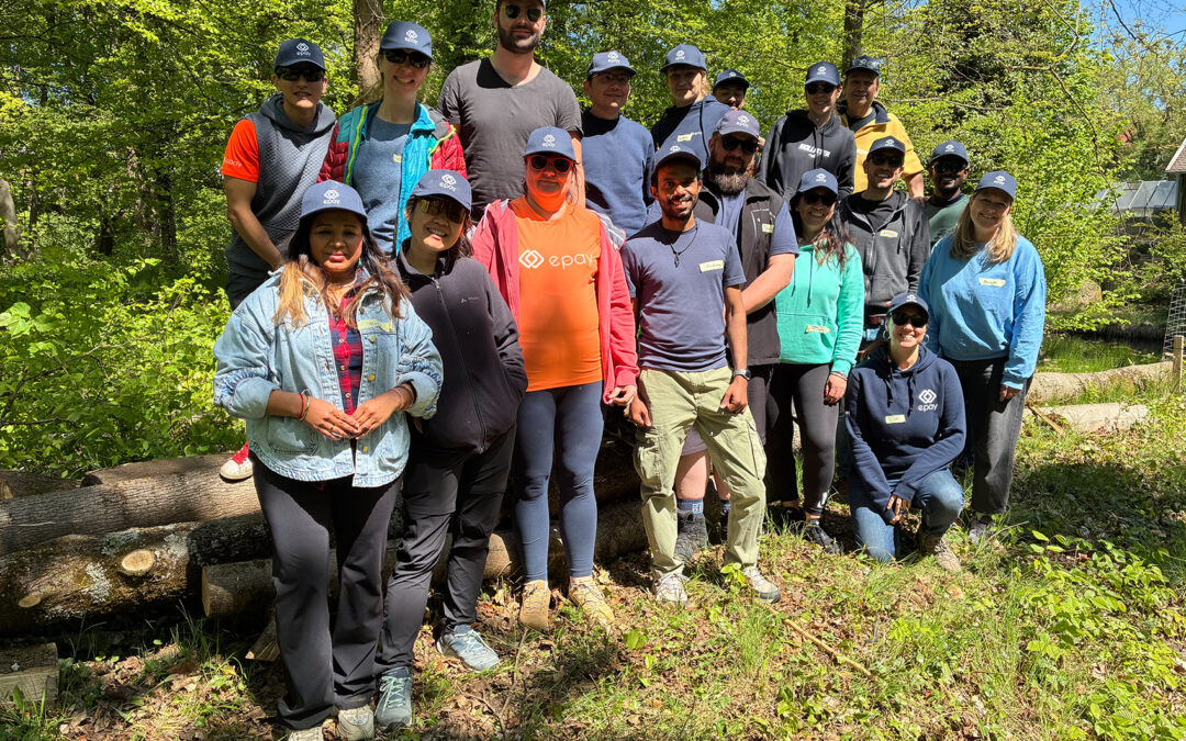 Days of Caring in spring 2026 at epay in Germany: Giving something back as a team