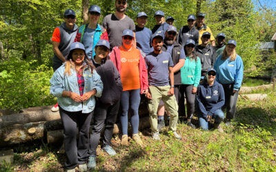 Days of Caring in spring 2026 at epay in Germany: Giving something back as a team